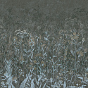 AROMATICO 8 AROMATICO 8